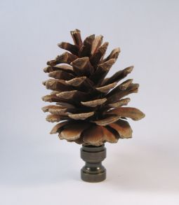 Finial:  Real Pinecone from the Woods of NH.  3 " overall