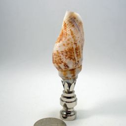 Lamp Finial Tan and Off White Seashell