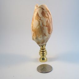 Lamp Finial Large Tan and Beige Seashell