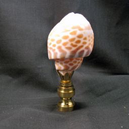 Lamp Finial Real Shell