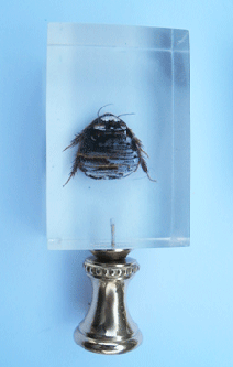 Lamp Finial: "Acrylic Ice Cube with Bug" 3 1/2 " tall overall