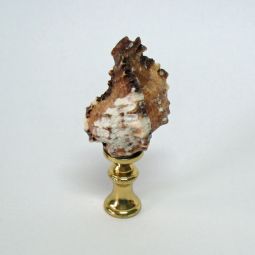 Lamp Finial Real Seashell Brown and White Large